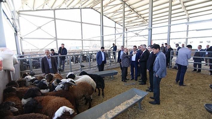 Bingöl'de kurban satış ve kesim yerleri belirlendi 