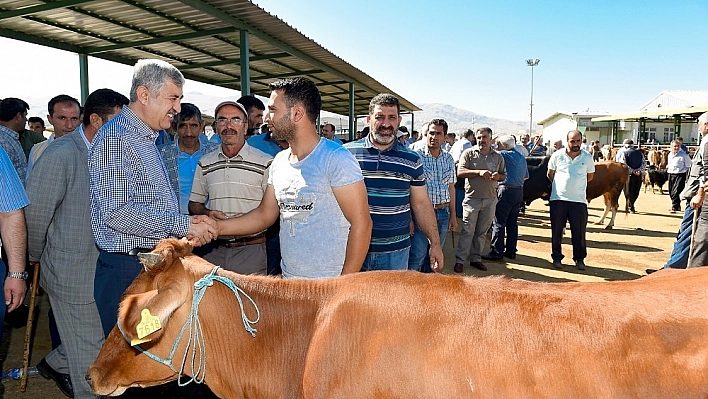 Büyükşehir, Hayvan Pazarı'nda önlemler aldı 