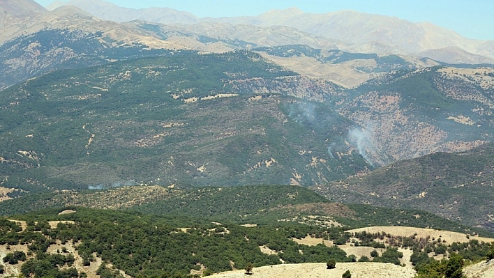 Tunceli'de ormanlık alandaki örtü altı yangını 