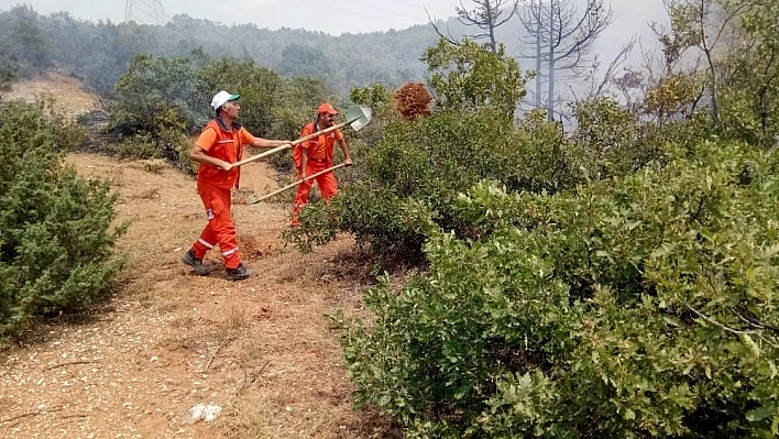 Bingöl'de ormanlık alanda yangın 