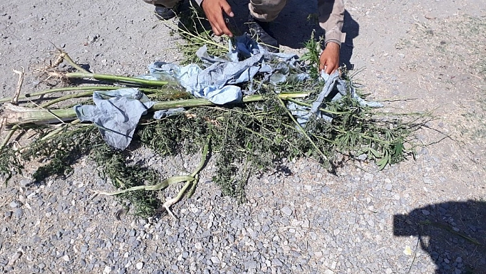 Elazığ'da 1,5 kilo esrar ele geçirildi 