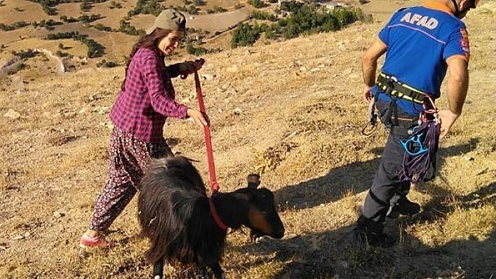Uçurumda 4 gün mahsur kalan keçi kurtarıldı 