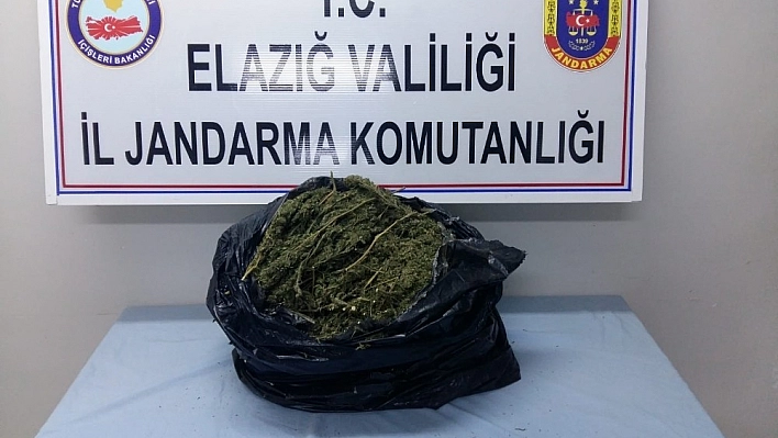 Esrarla yakalanan şüpheliler tutuklandı