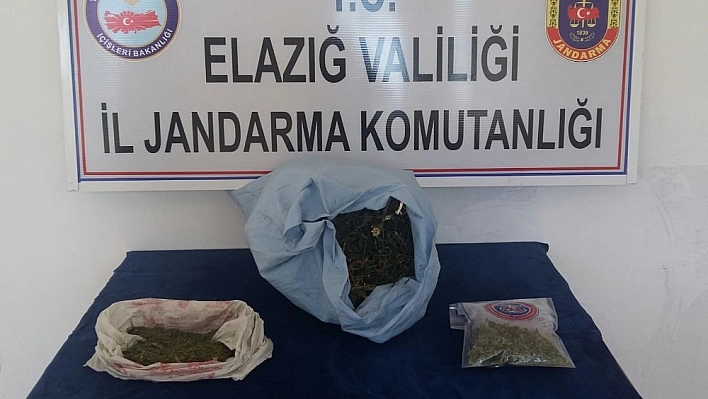 Jandarmadan Uyuşturucu Operasyonu