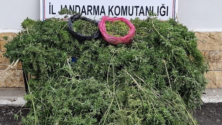 Elazığ'da uyuşturucu operasyonu: 5 gözaltı 