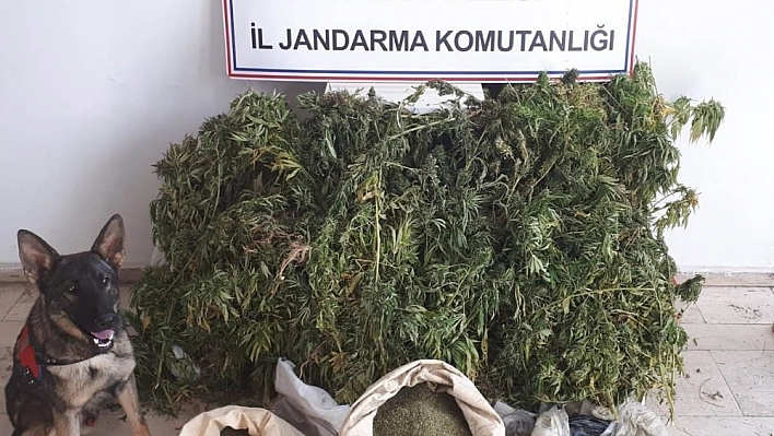 Bingöl'de 158 kilo uyuşturucu ele geçirildi 