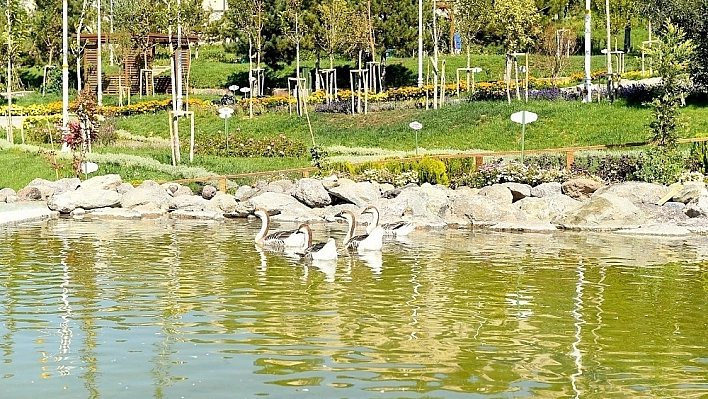 Hayvanat bahçesinde son rötuşlar yapılıyor 