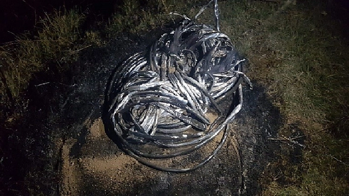 Telefon kablosu çalan 2 kişi tutuklandı 
