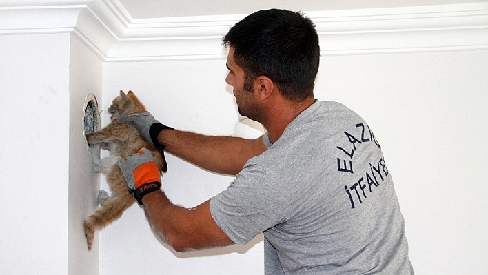 Bacaya düşen kedi kurtarıldı 