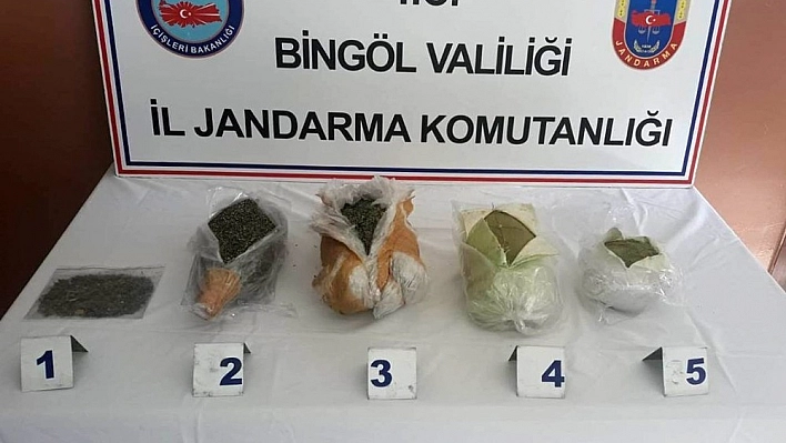 Arı kovanlarında 4 kilo toz esrar ele geçirildi 