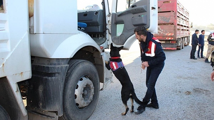 Bingöl'de 74 yabancı uyruklu yakalandı, 60 kişiye 170 bin lira ceza kesildi 