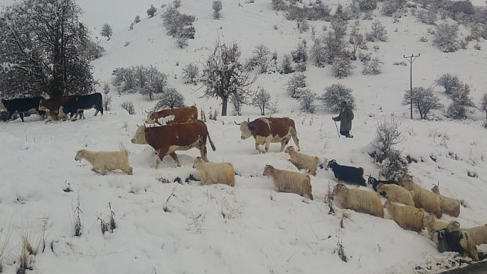 Tunceli'nin ilçelerinde kar etkili oldu 