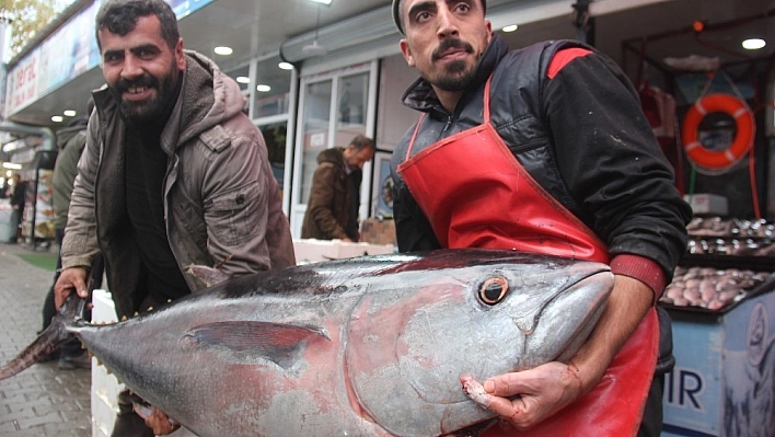 Balıkla Selfie Çekiyorlar