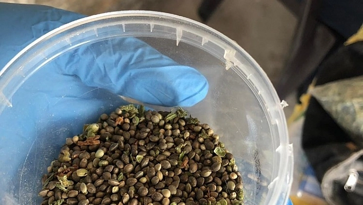 Tunceli'de uyuşturucu ve kenevir tohumu ele geçirildi 