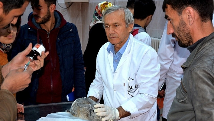 BÜ Veterinerlik Fakültesi,  hayvanlar için tedavi merkezi oldu 