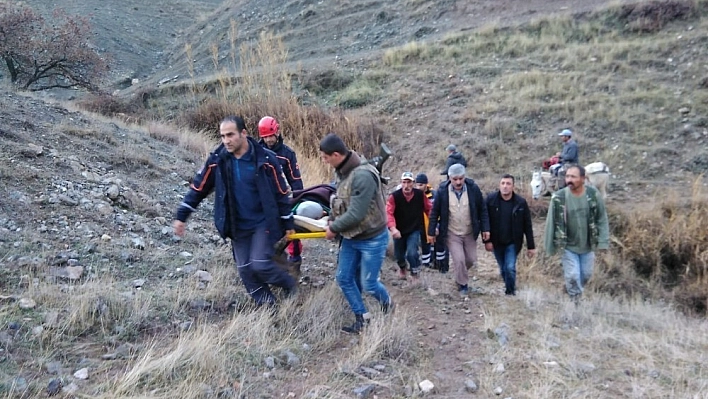 Domuz saldırısına uğrayan çoban yaralandı, ekipler kurtardı 