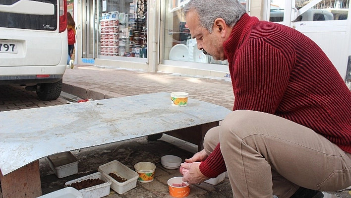 Sokak hayvanlarına sahip çıkıyorlar