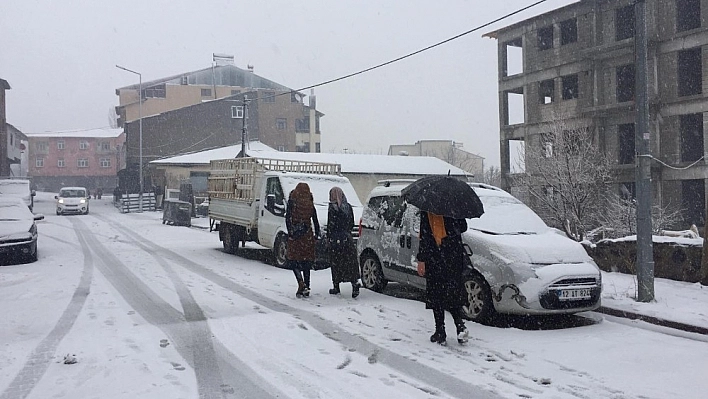 Bingöl ve Tunceli'nin ilçelerinde kar yağışı etkili oldu 