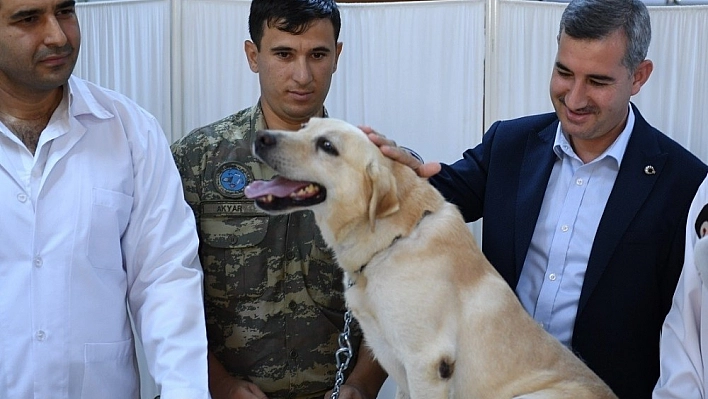 Yeşilyurt Belediyesi doğanın sevimli canlılarına sahip çıkıyor 