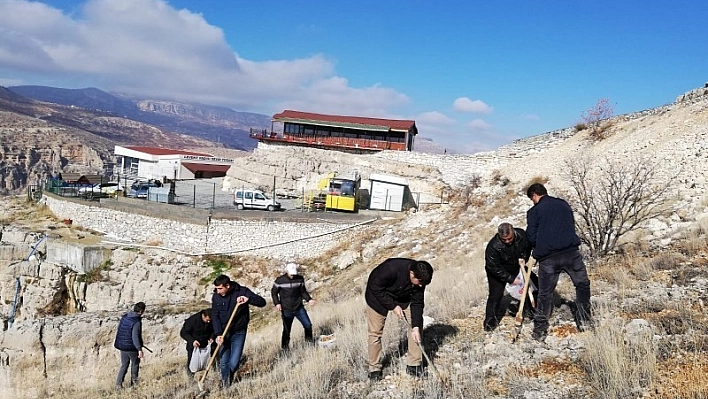 Levent Vadisi'ne meşe palamudu dikildi 