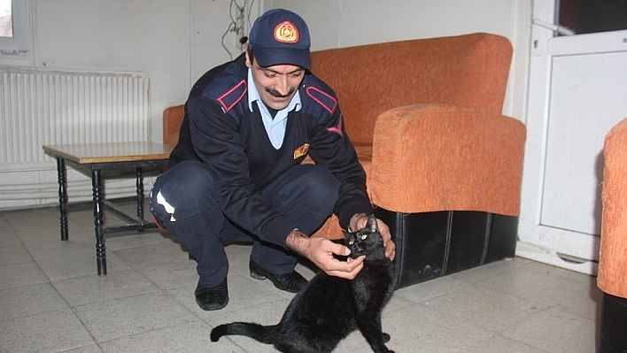 Motor arasından kurtarılmıştı, o kedi itfaiyenin maskotu oldu 