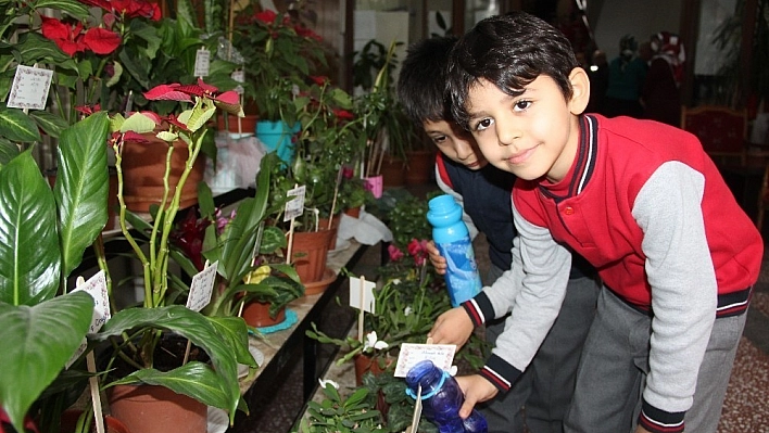 493 öğrenci okulda çiçek yetiştirdi 