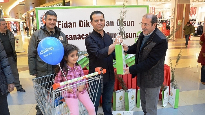 Yeni yıl öncesi ücretsiz çam fidanı dağıtıldı 