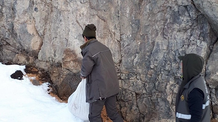 Bingöl'de yaban hayvanlar için doğaya yem bırakıldı 