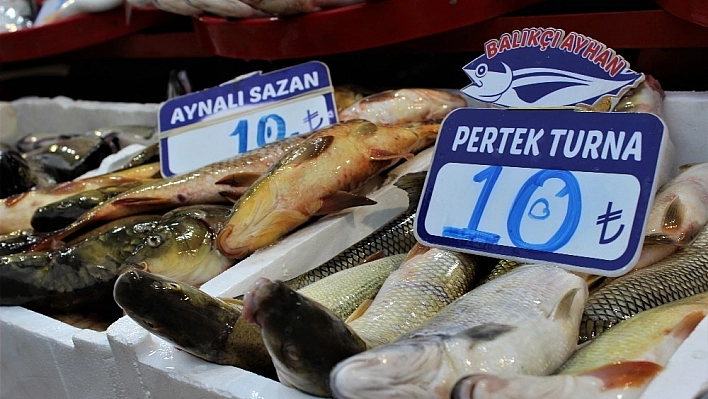 Göl Balığı, Hamsiden bile Ucuz