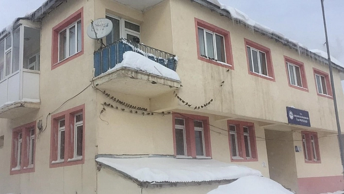 Karda aç kalan hayvanları besliyor 
