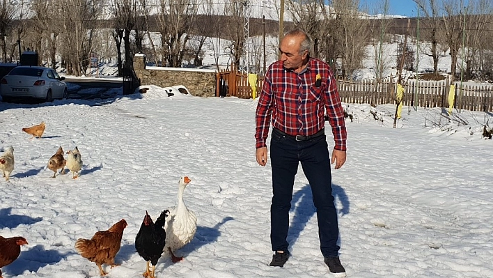 Sabah kazla koşuya çıkıyor, akşam tilki ailesini besliyor 