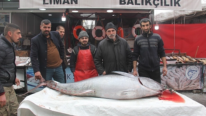 2 metrelik balığı gören bol bol fotoğraf çekti 
