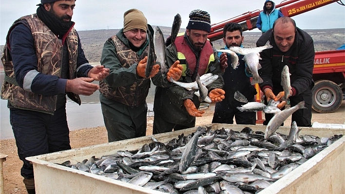 Elazığ'dan, Dünya'ya İhraç Ediliyor