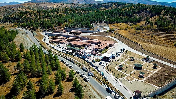 2018 yılı içerisinde 2 bin sokak hayvanının bakımı yapıldı 