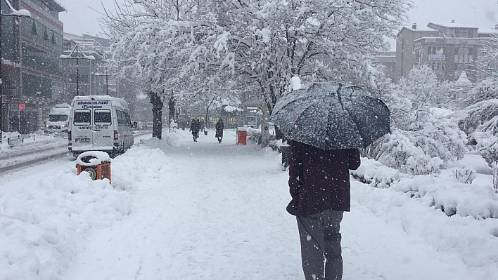 Bingöl'de 281 köy yolu kapandı, okullar tatil edildi 
