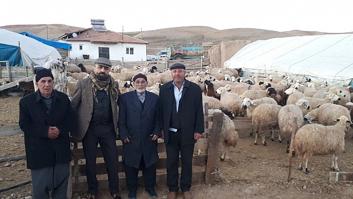 Bozburun'da hayvancılıktaki sorunlar ele alındı 