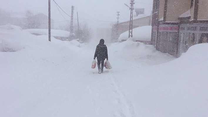 Kar ve tipi etkili olan o ilçede okullar yarın da tatil edildi 