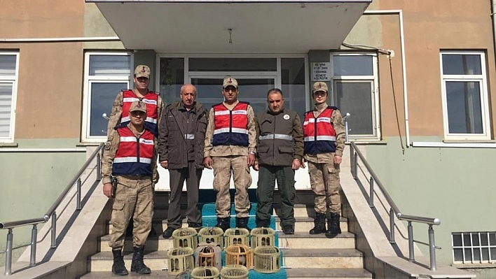 Keklikler Ele Geçirildi