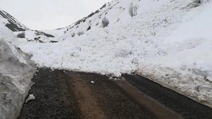 Bingöl'de çığ düştü, araçlar mahsur kaldı 