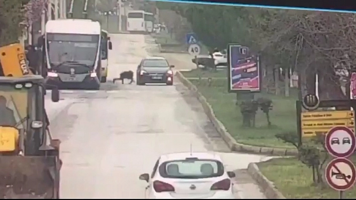 Trambüsten inen kıza otomobilin çarptığı kaza güvenlik kamerasında 