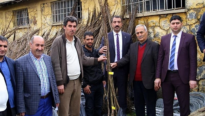 Bingöl'de 18 bin adet ceviz fidanı dağıtıldı 