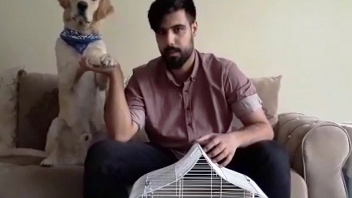 Köpeğinin gözüne dedorant sıkan gençten işkence açıklaması 