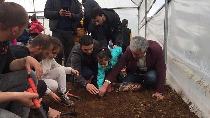 Bingöl'de yerli tohum ekimi 