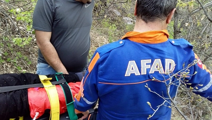 Işkın toplarken kayalıklardan düştü, 3 saatte kurtarıldı 