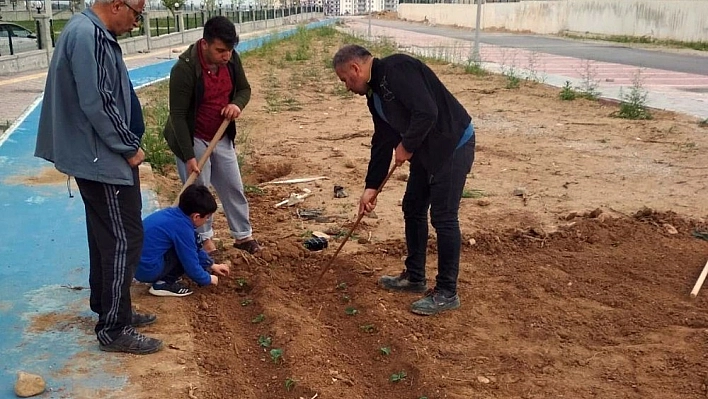 Vatandaşlardan yüksek fiyatlı sebzeye karşı çözüm 