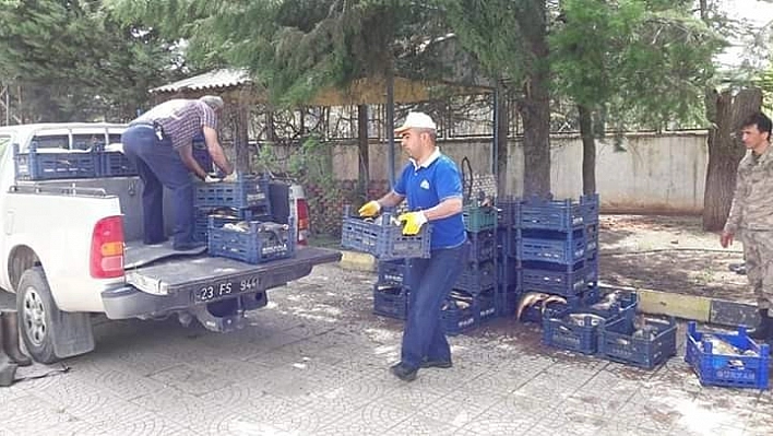 Elazığ'da 800 kilo kaçak balık ele geçirildi 
