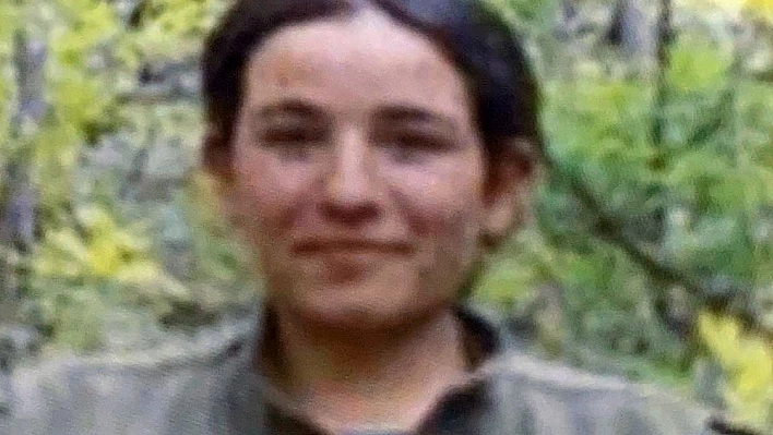 Tunceli'de 4 terörist öldürüldü 