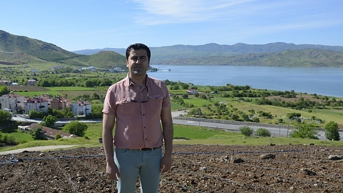Pertek'te  lavanta ekimi yapıldı 