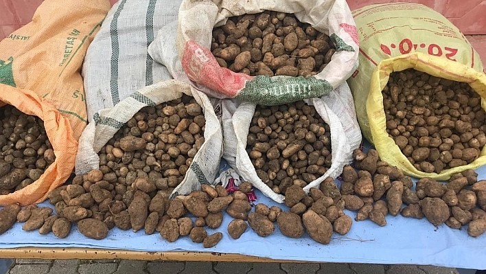 Elazığ'da bugün de 240 bin TL ceza kesildi