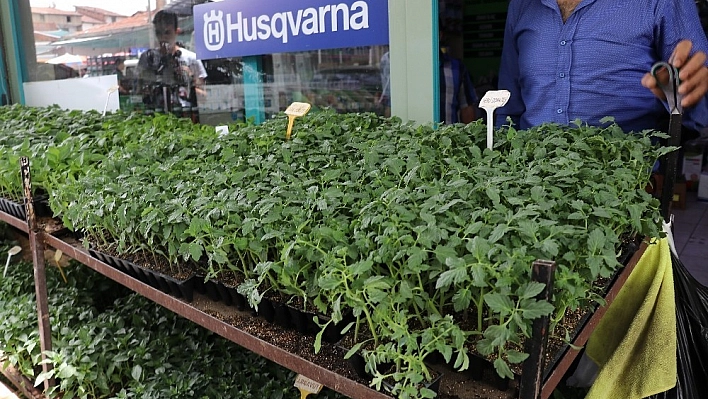 (Özel) Yüksek fiyatlar vatandaşı sebze üretimine yöneltiyor 